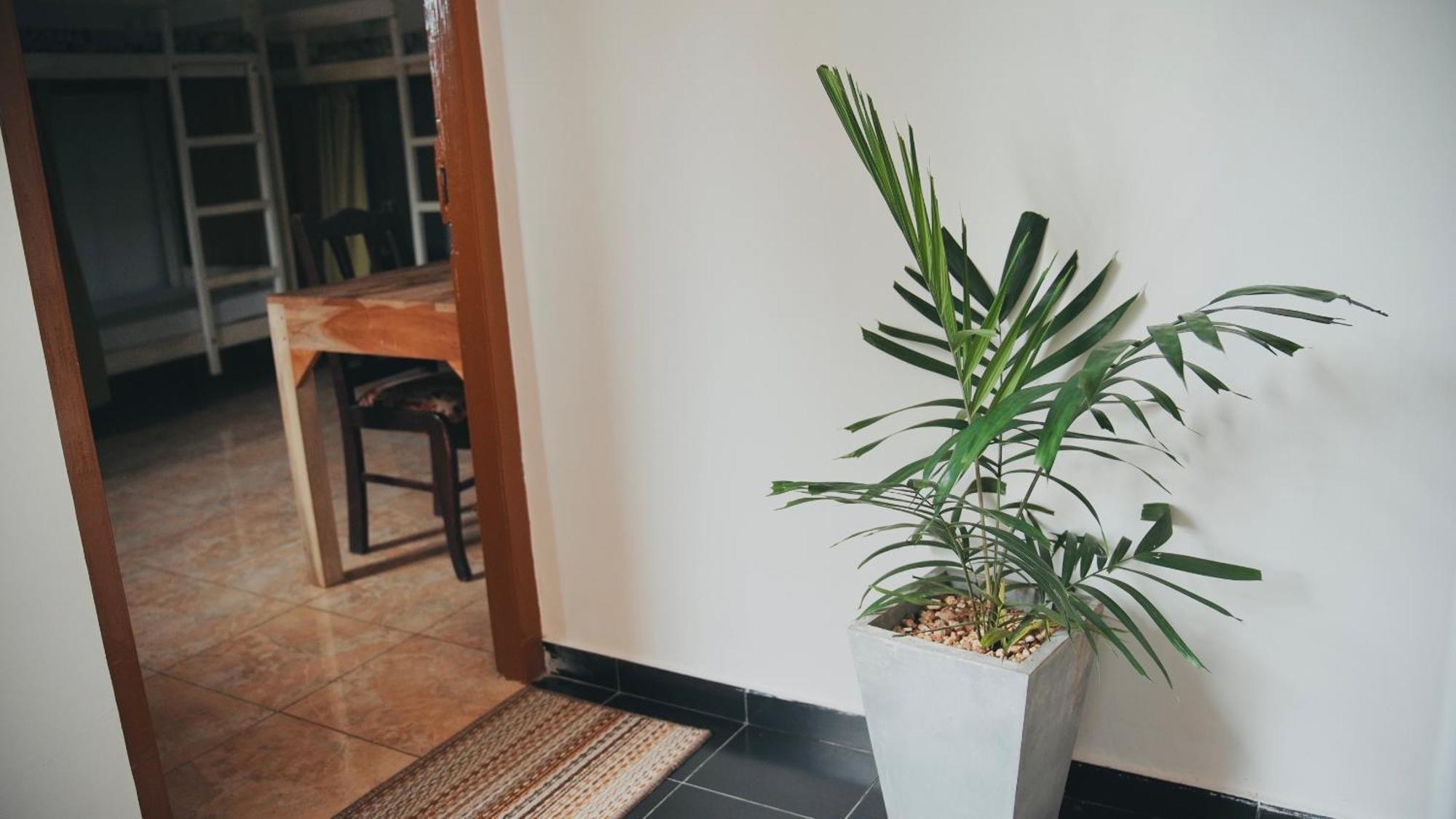 Dreamy Surf House Hotel Weligama Exterior photo