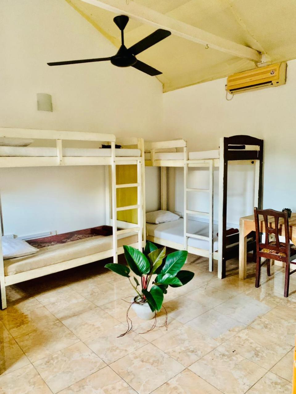 Dreamy Surf House Hotel Weligama Exterior photo